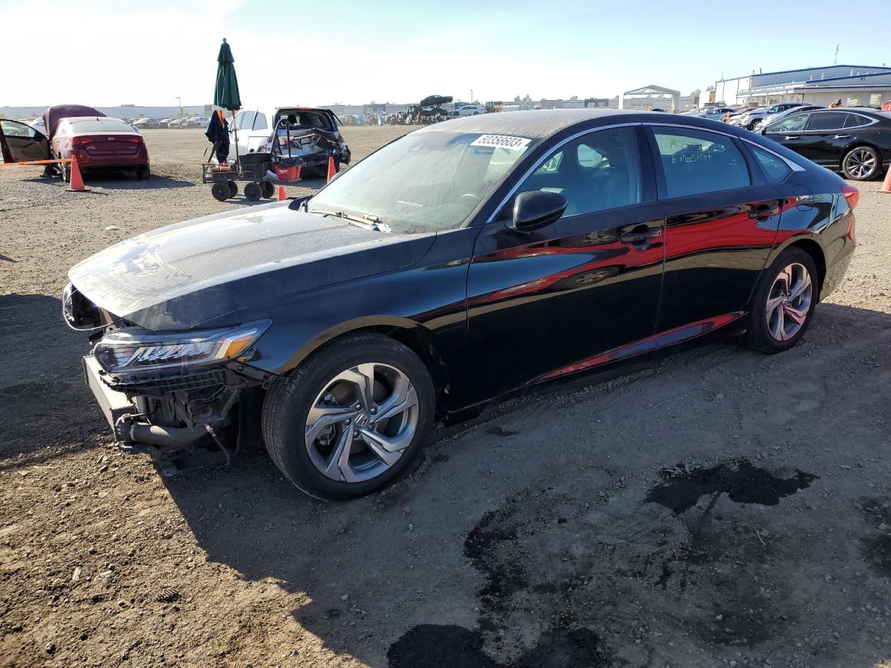 HONDA ACCORD 2019 1hgcv1f38ka149776