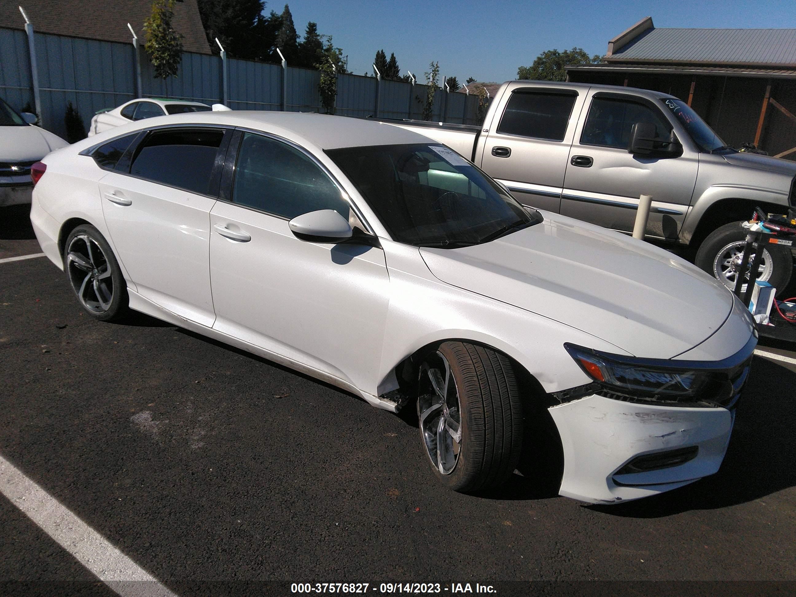 HONDA ACCORD 2019 1hgcv1f3xka029199