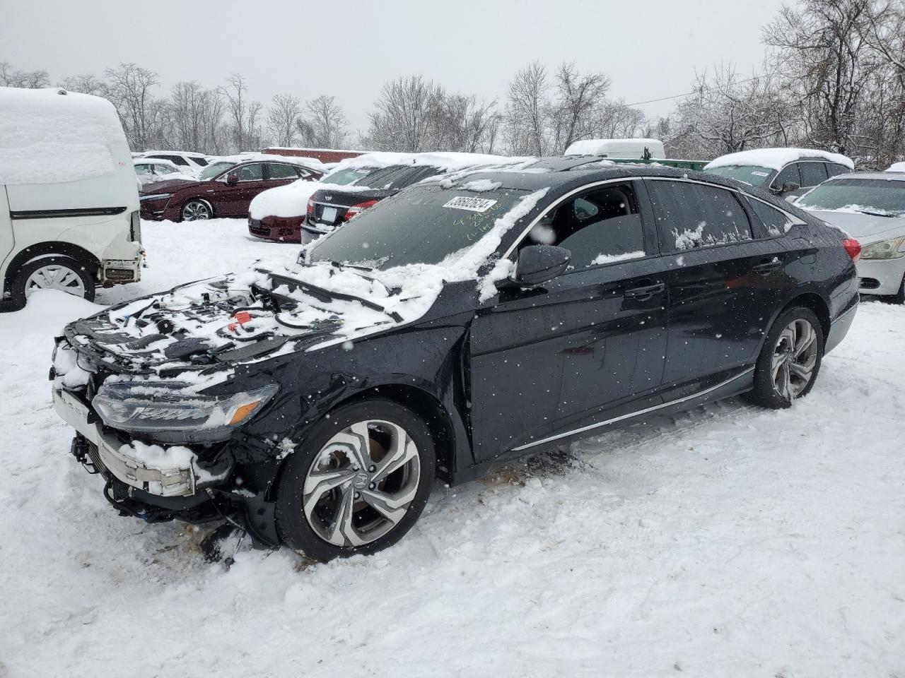 HONDA ACCORD 2019 1hgcv1f42ka058754