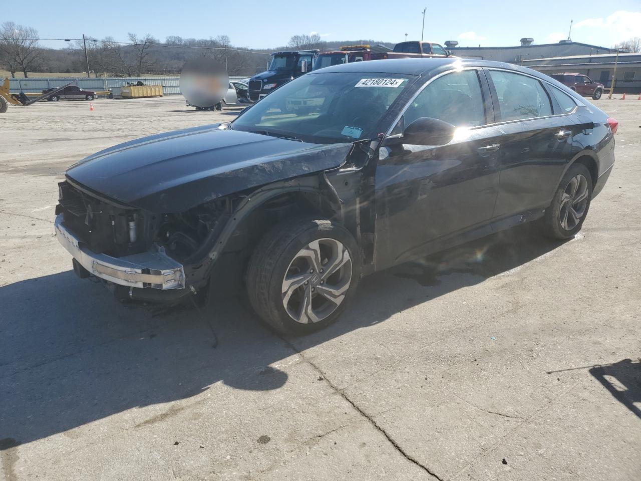 HONDA ACCORD 2019 1hgcv1f51ka007500