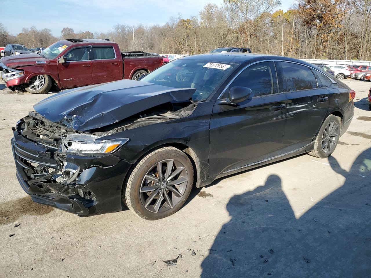 HONDA ACCORD 2021 1hgcv1f51ma073435