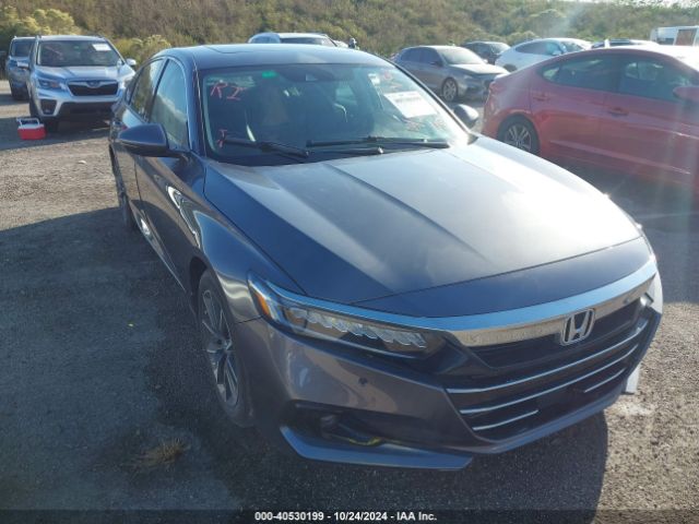 HONDA ACCORD 2021 1hgcv1f56ma042228