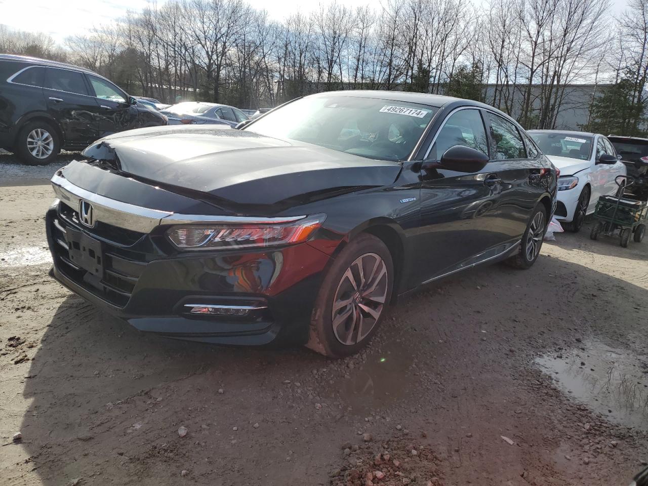 HONDA ACCORD 2019 1hgcv3f48ka008596