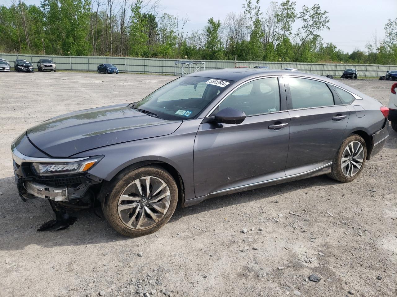 HONDA ACCORD 2019 1hgcv3f49ka002919