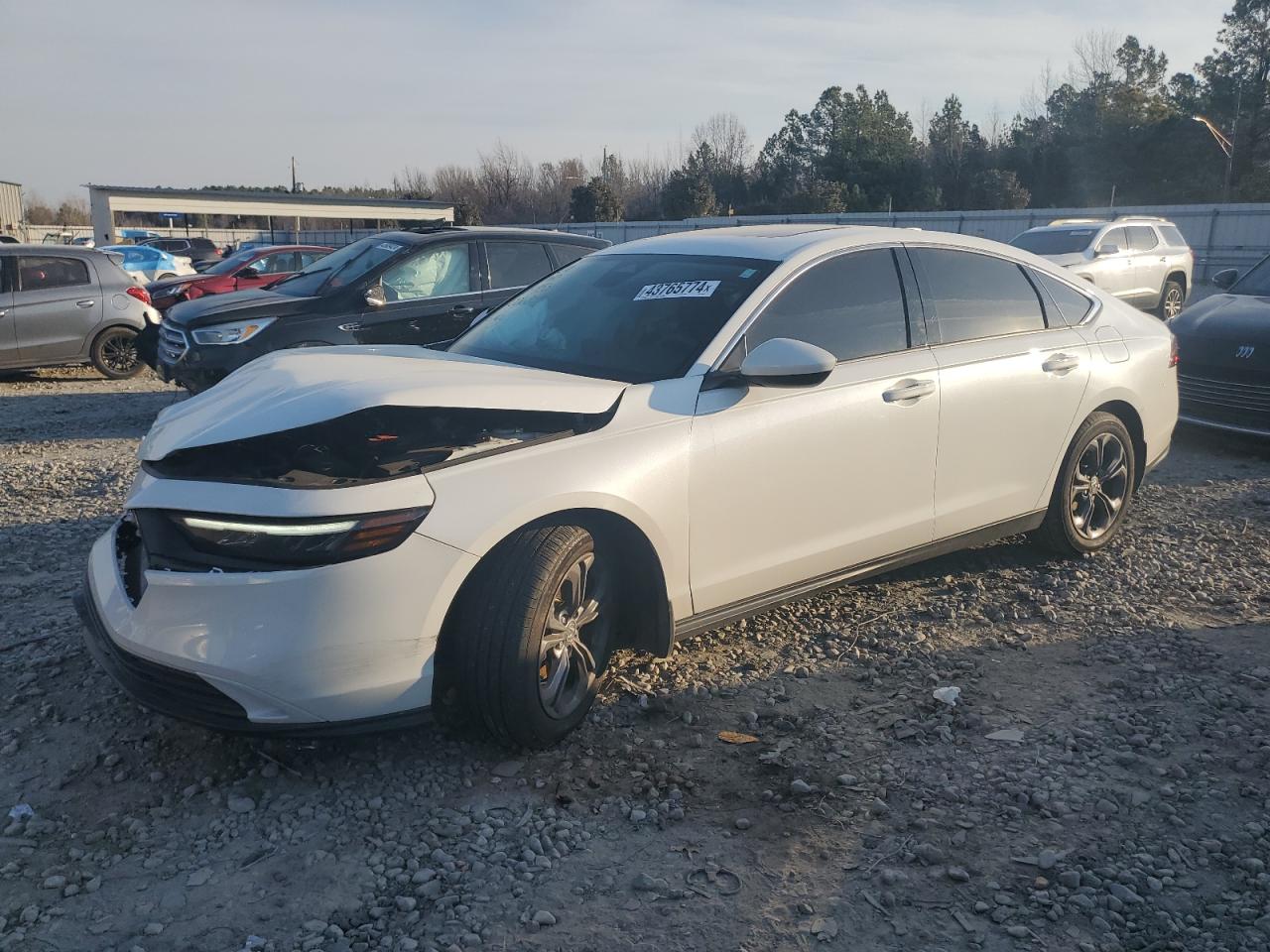 HONDA ACCORD 2023 1hgcy1f30pa006805