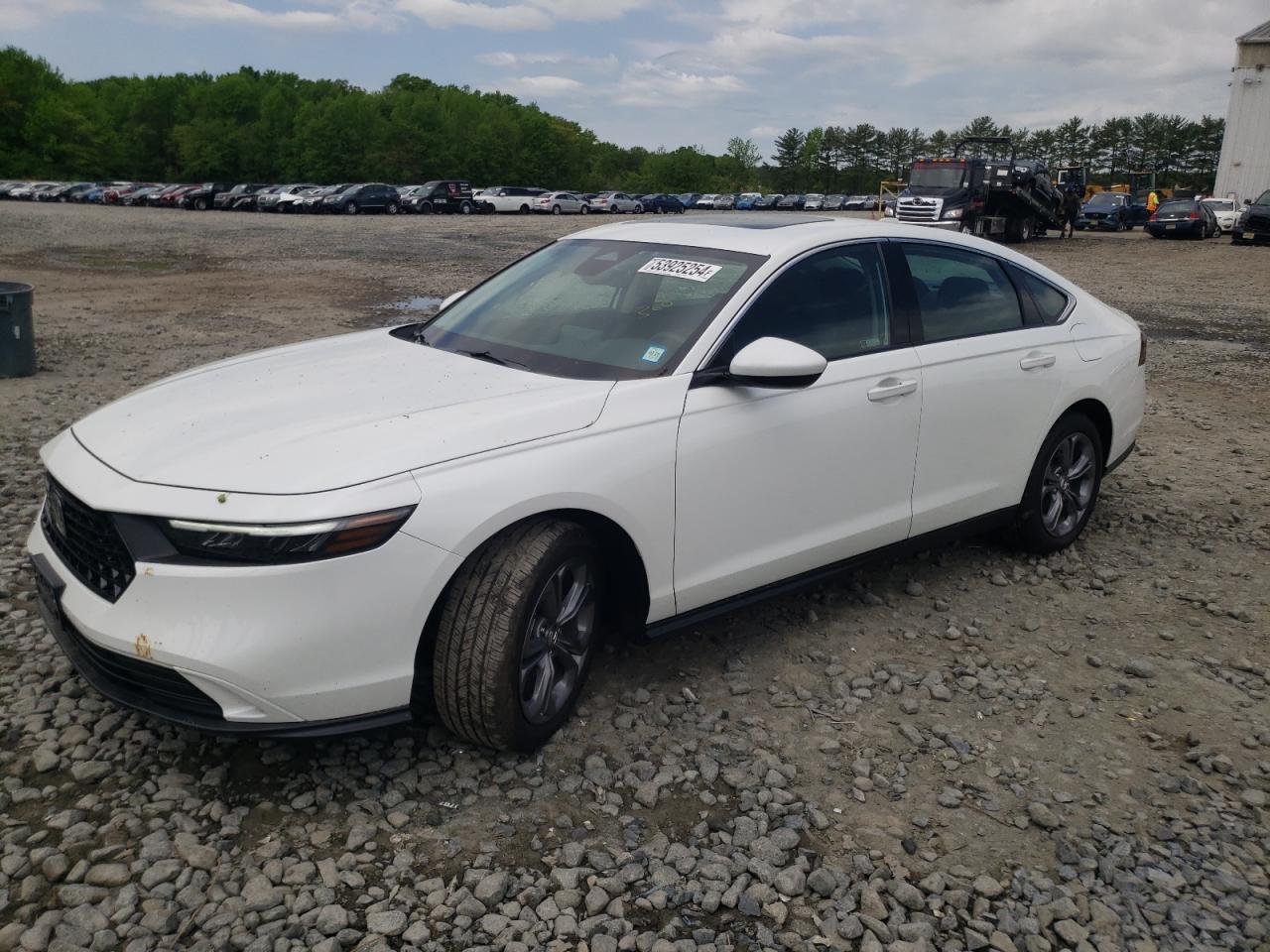 HONDA ACCORD 2024 1hgcy1f38ra037691