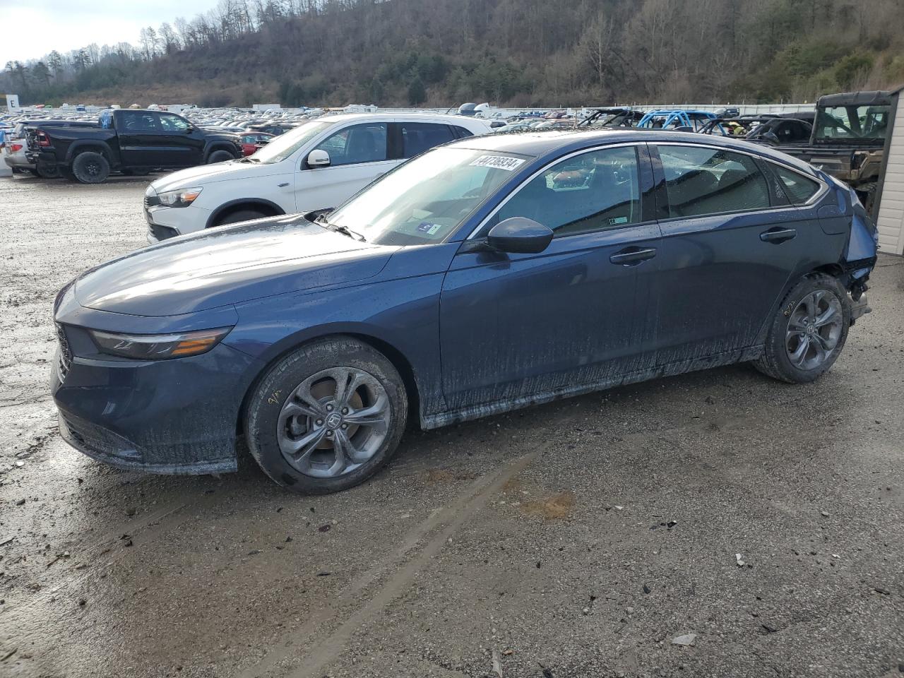 HONDA ACCORD 2023 1hgcy1f3xpa050102