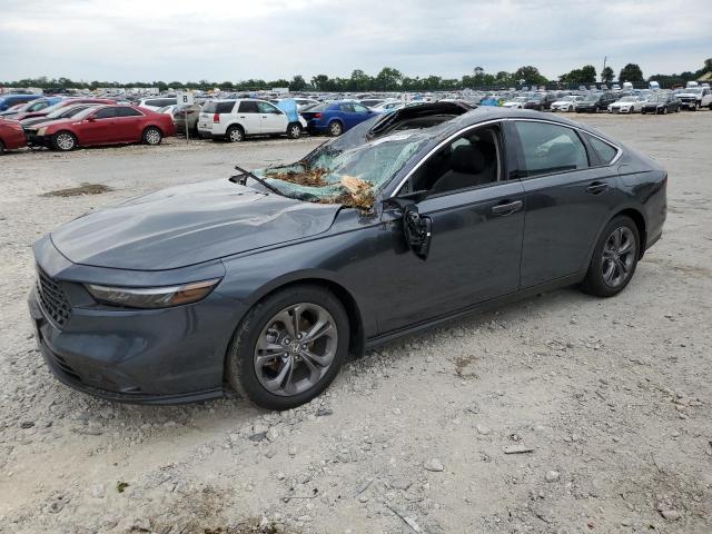 HONDA ACCORD 2024 1hgcy1f3xra023145