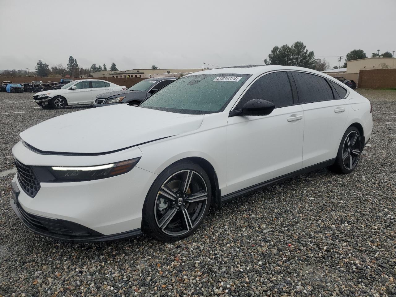 HONDA ACCORD 2023 1hgcy2f53pa058856