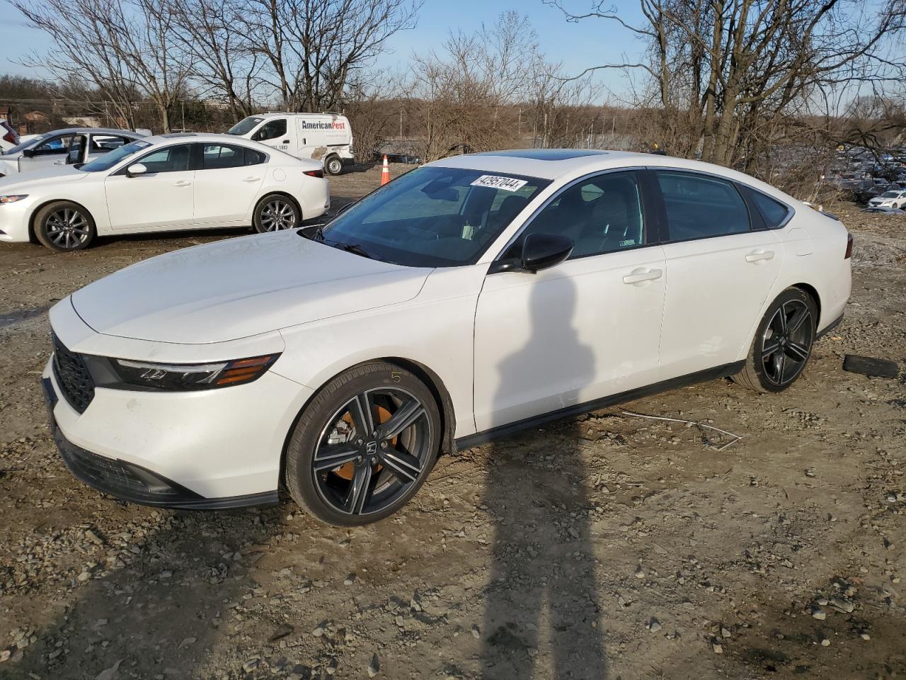 HONDA ACCORD 2023 1hgcy2f54pa038888