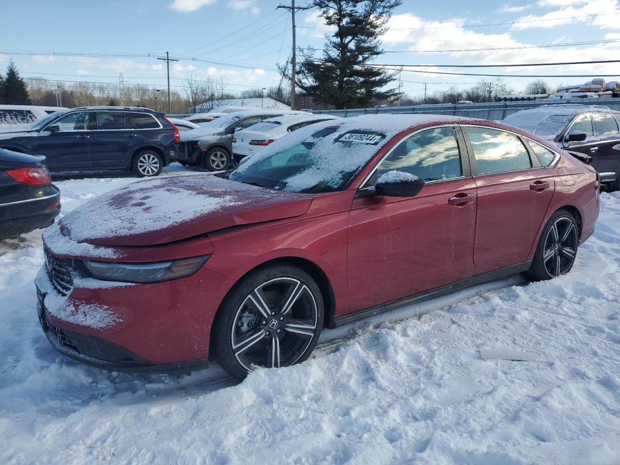 HONDA ACCORD 2023 1hgcy2f55pa067770