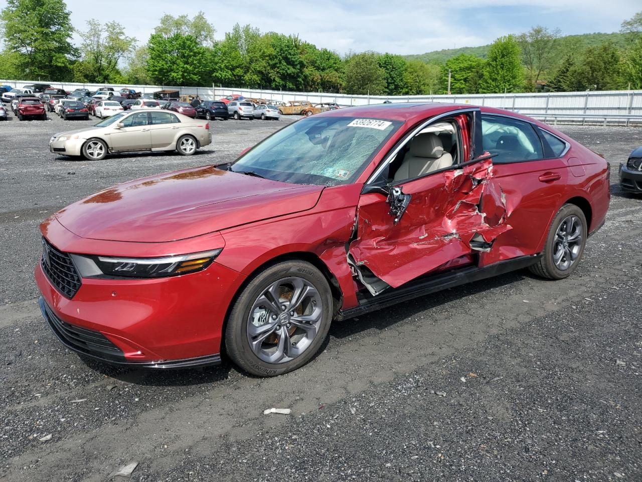 HONDA ACCORD 2024 1hgcy2f61ra029237