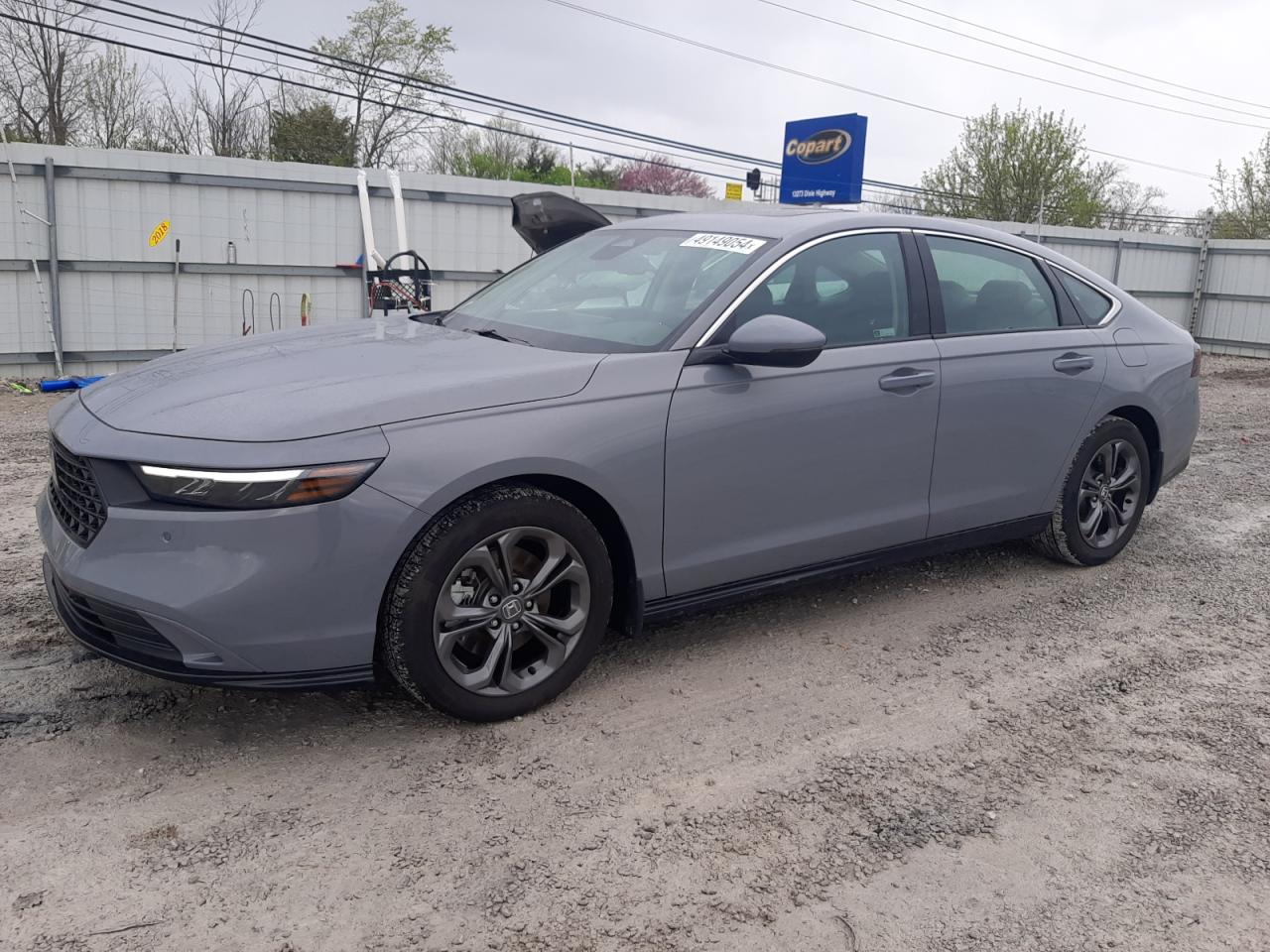 HONDA ACCORD 2024 1hgcy2f65ra020864