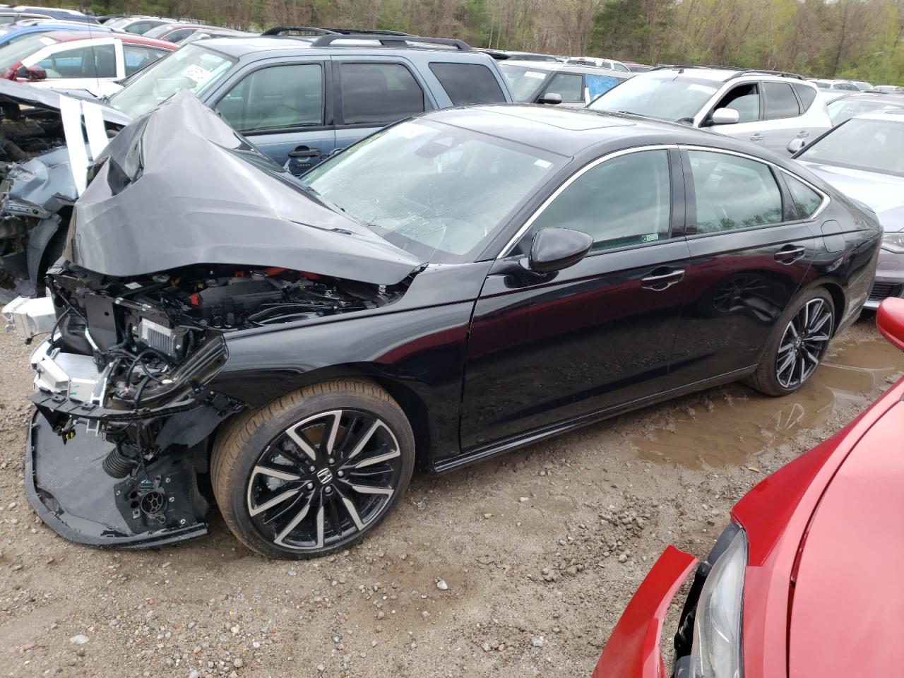 HONDA ACCORD 2024 1hgcy2f83ra042699