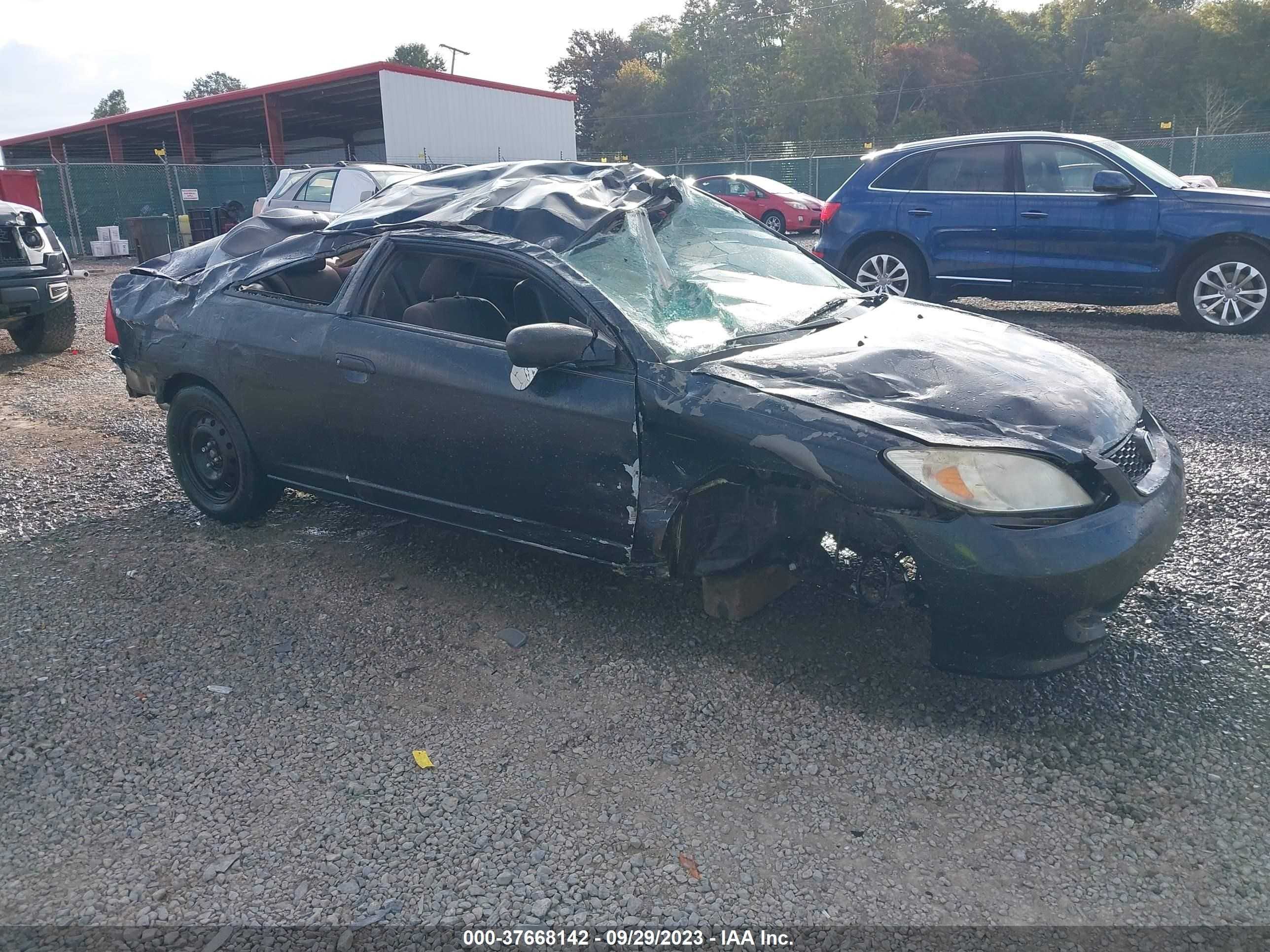 HONDA CIVIC 2005 1hgem21675l055755