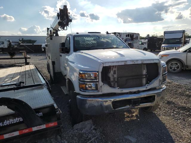 CHEVROLET SILVERADO 2019 1htkjpvmxkh384158