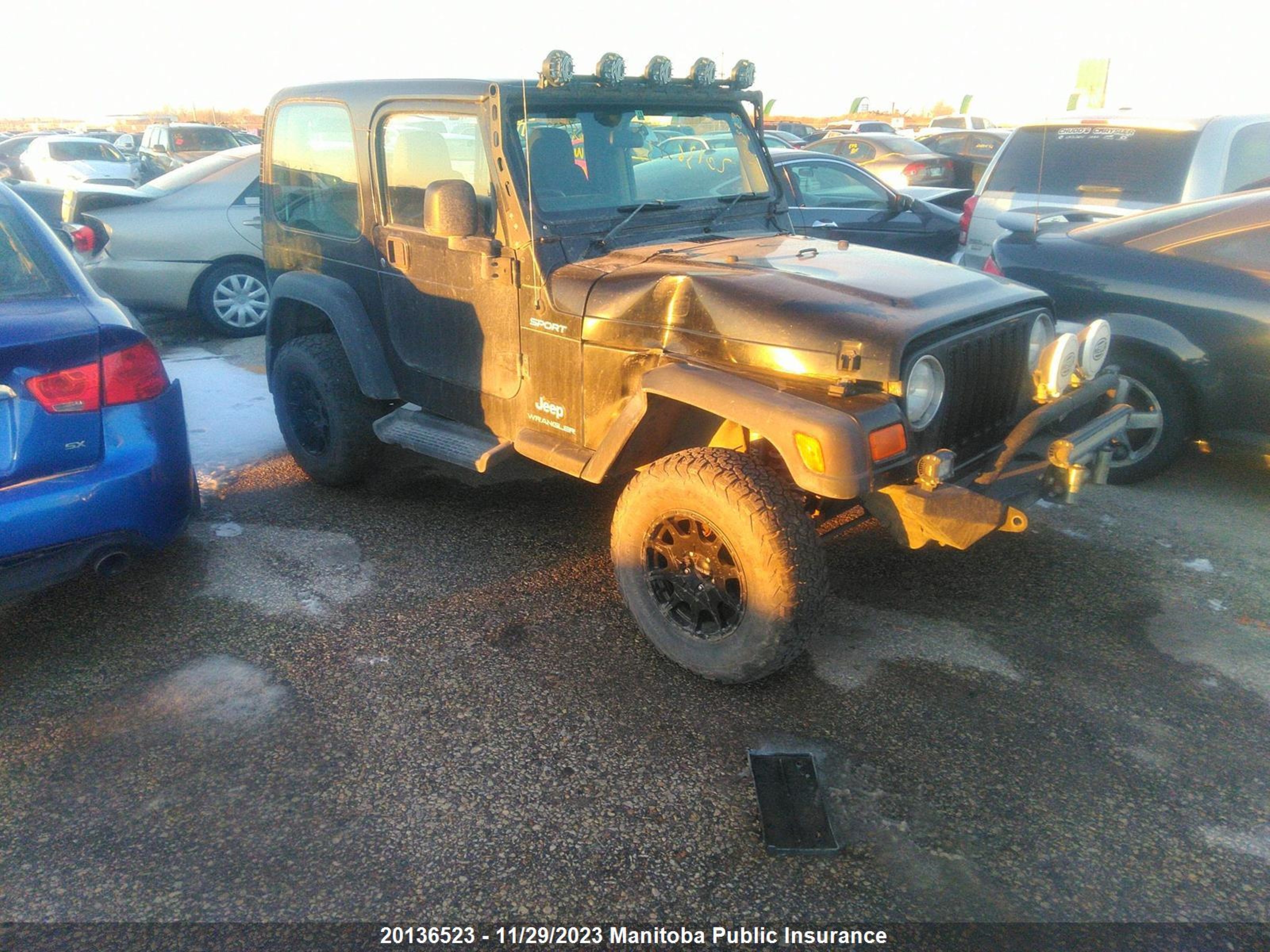 JEEP WRANGLER 2004 1j4f449s84p706392