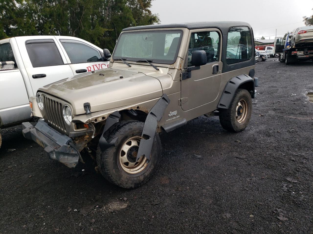 JEEP WRANGLER 2003 1j4fa29153p366900