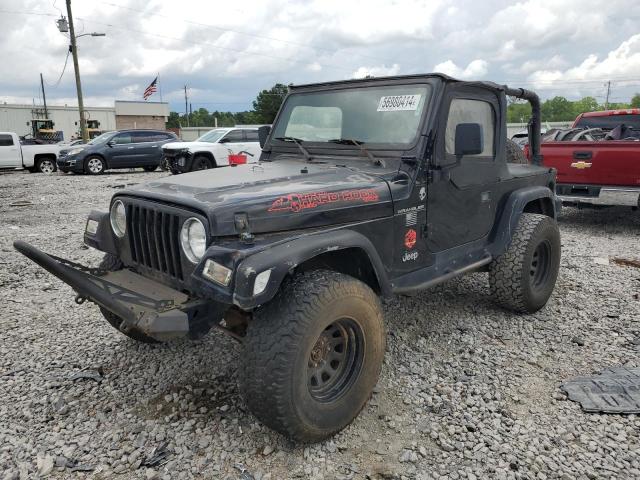 JEEP WRANGLER 2002 1j4fa39s02p711859