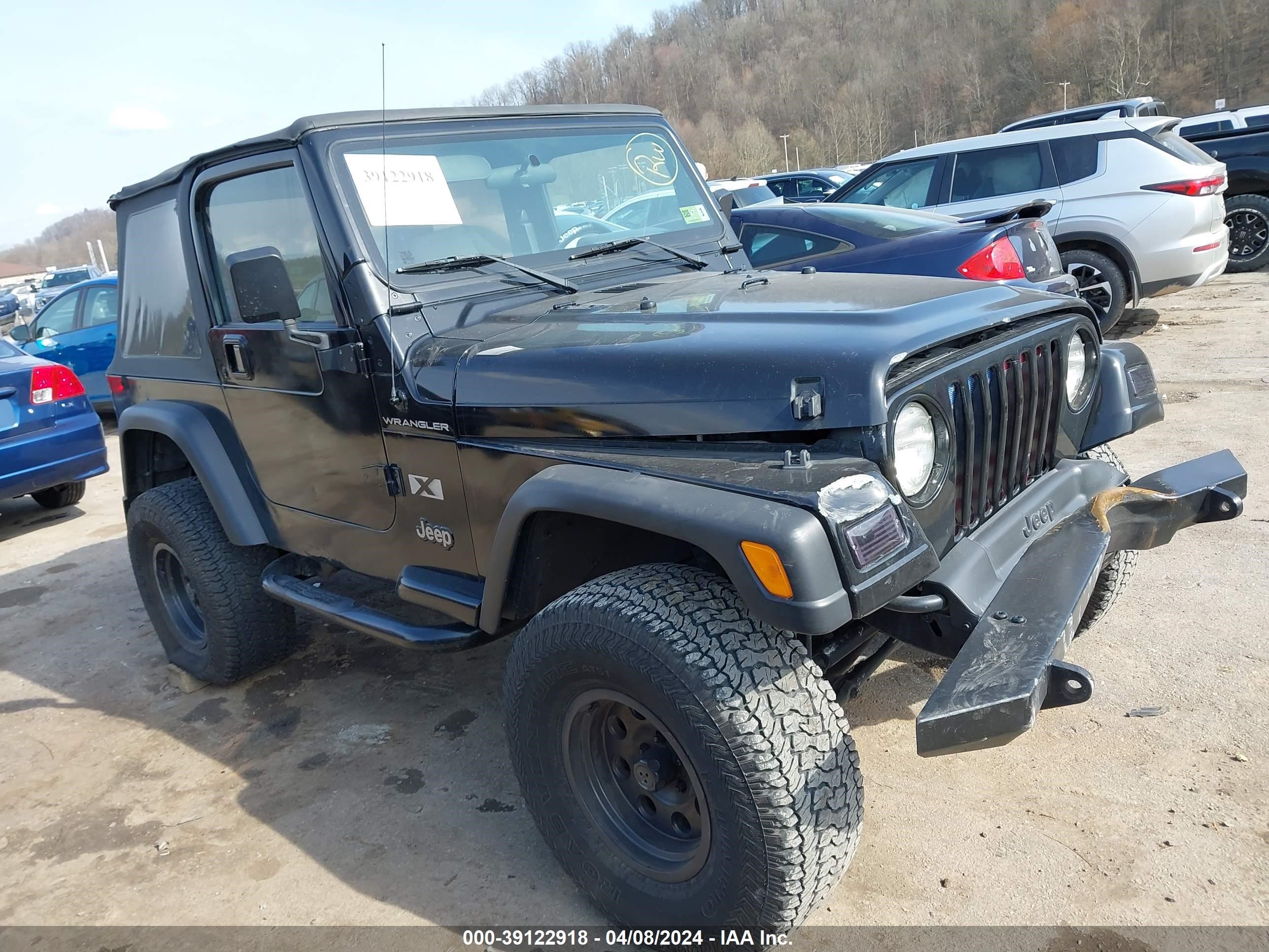 JEEP WRANGLER 2002 1j4fa39s22p728131