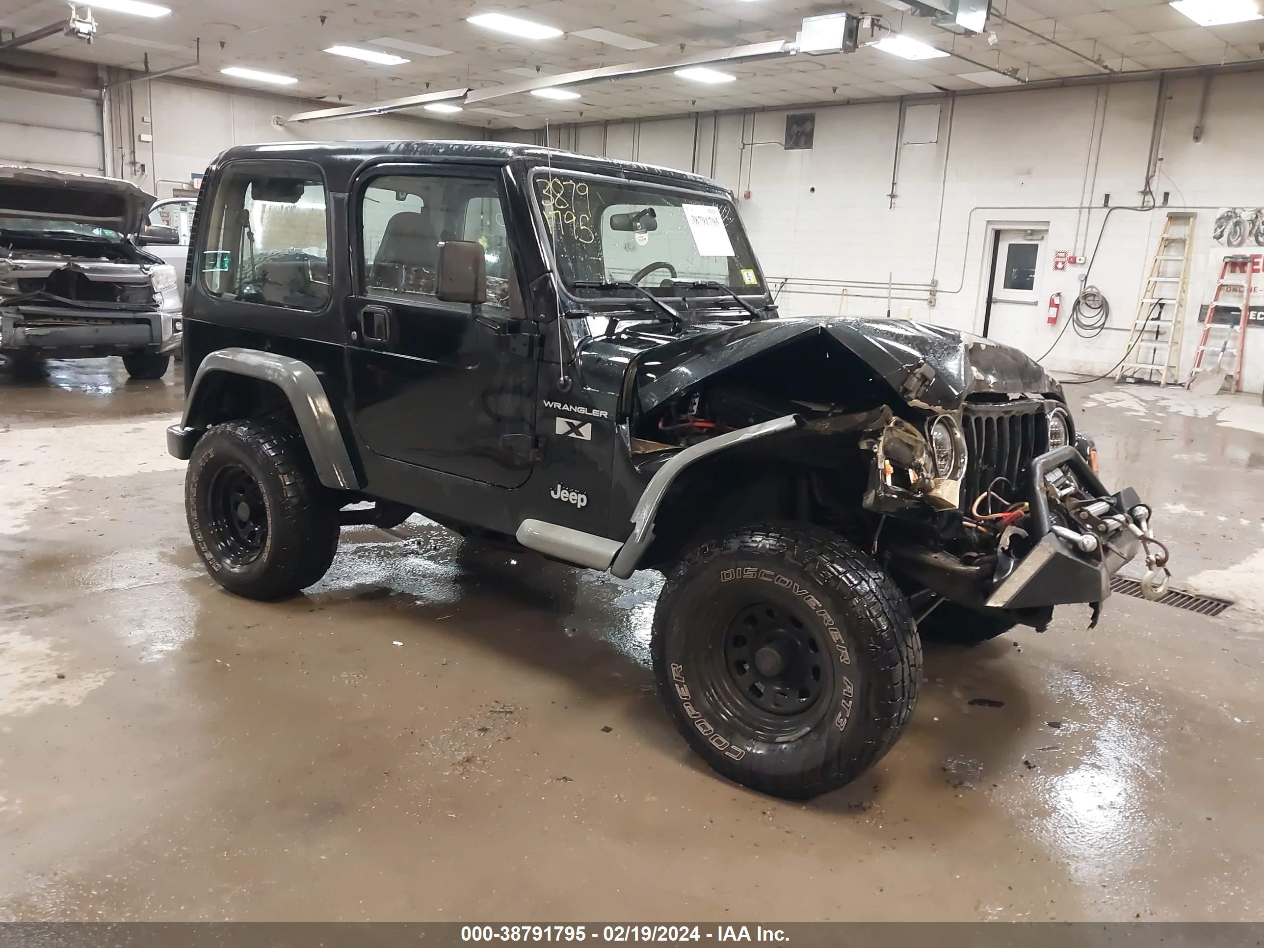 JEEP WRANGLER 2002 1j4fa39s22p776129