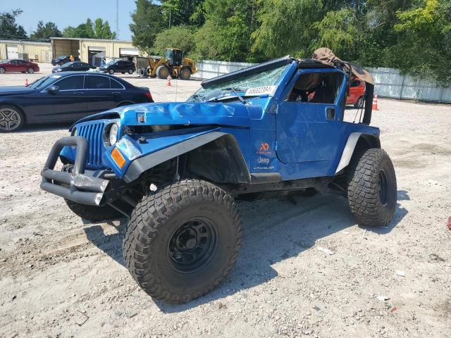 JEEP WRANGLER 2003 1j4fa39s23p304451