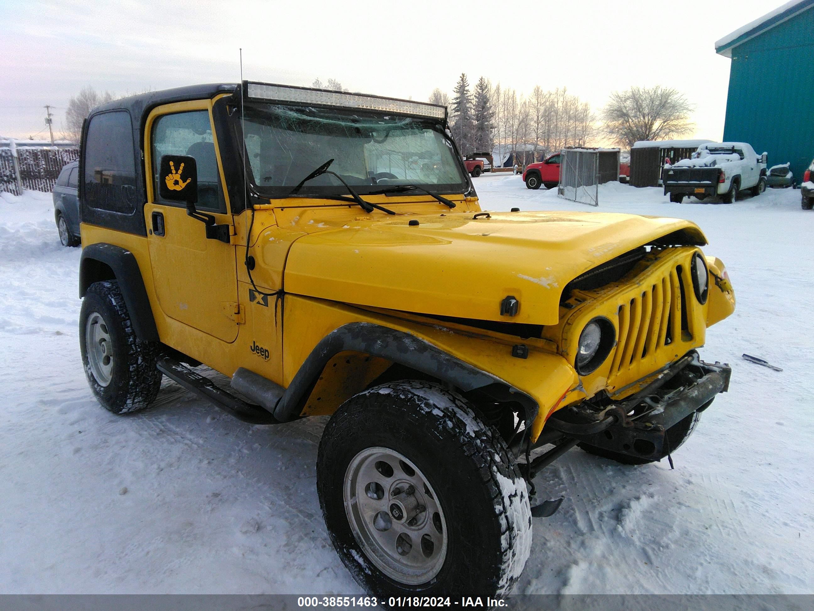 JEEP WRANGLER 2002 1j4fa39s32p734813