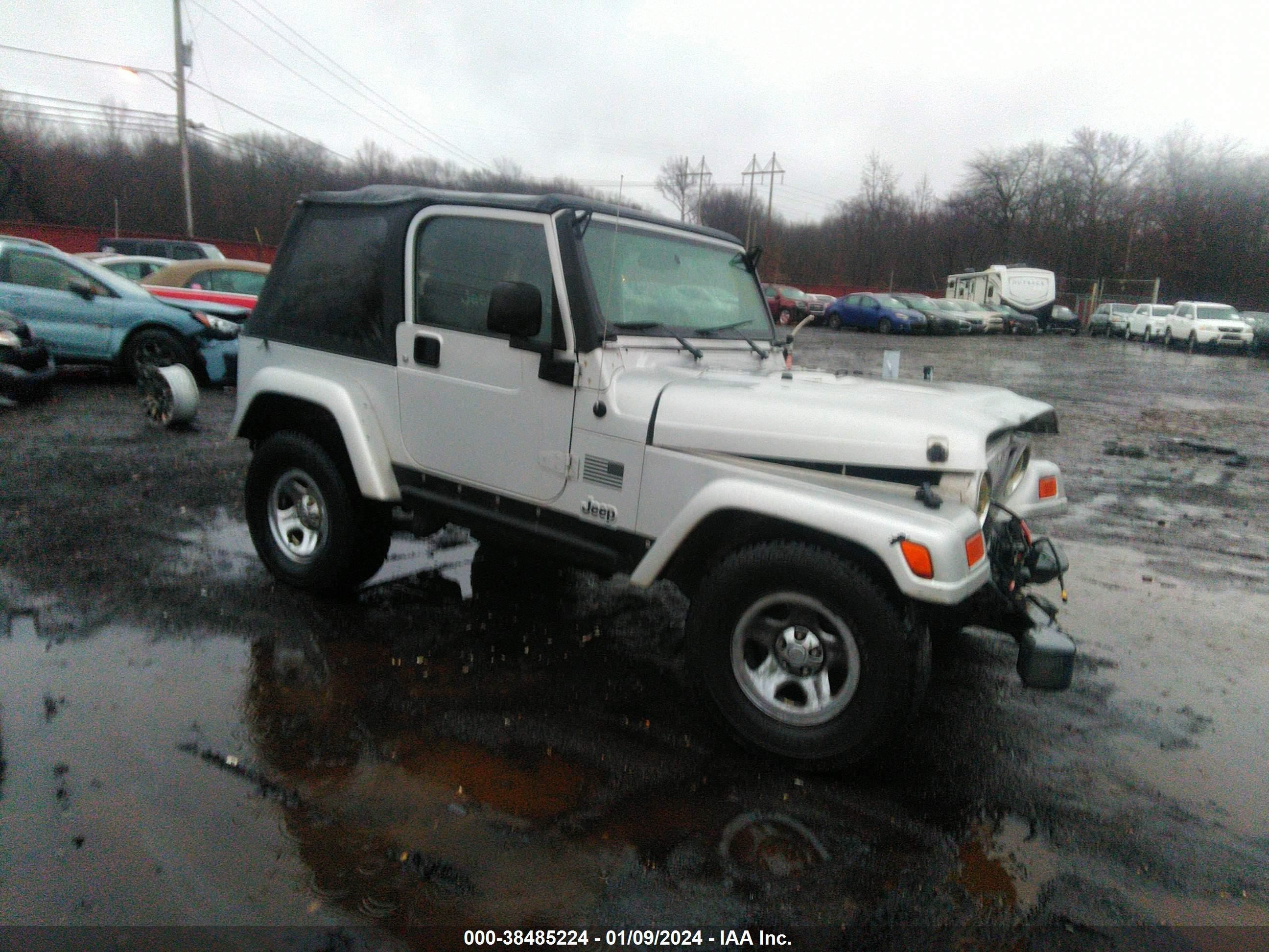 JEEP WRANGLER 2003 1j4fa39s33p365940