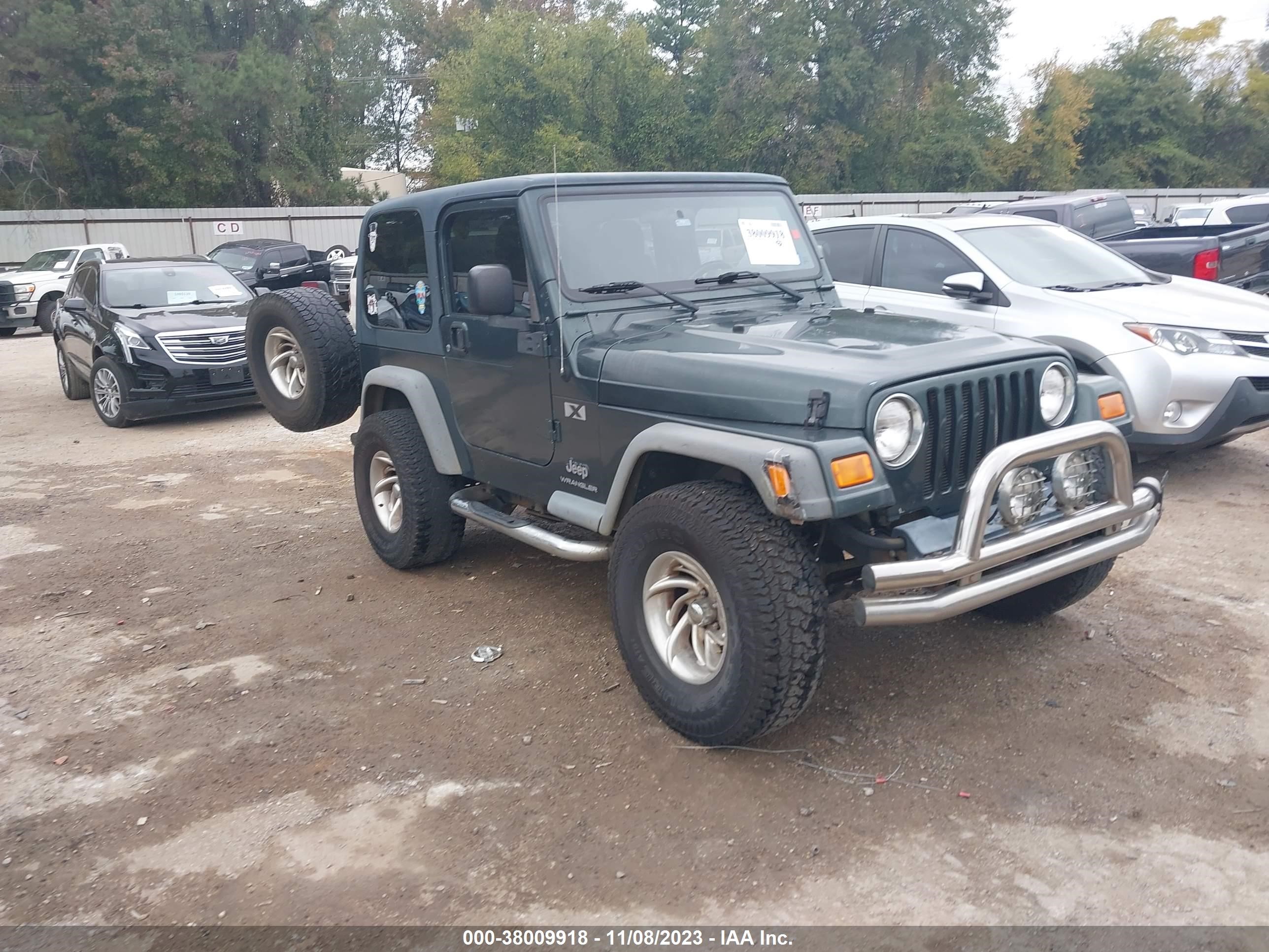 JEEP WRANGLER 2003 1j4fa39s43p373965