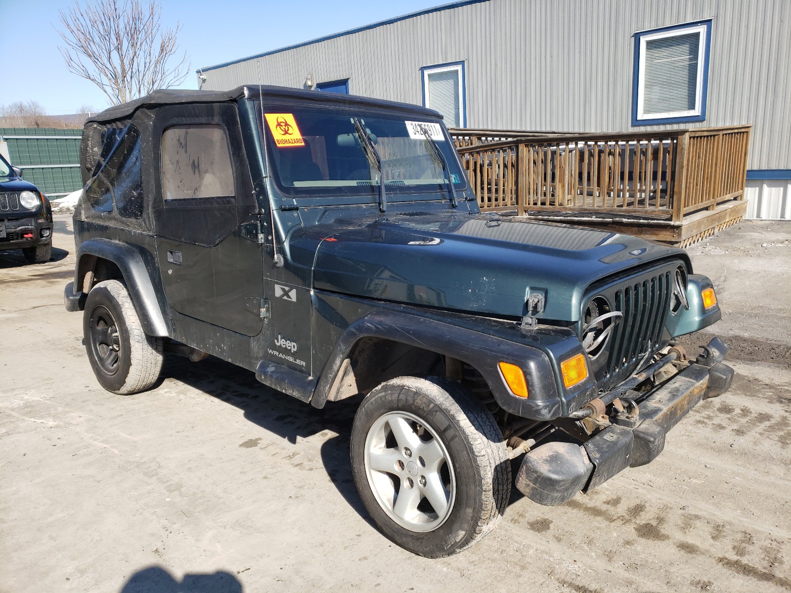 JEEP WRANGLER C 2003 1j4fa39s63p320748