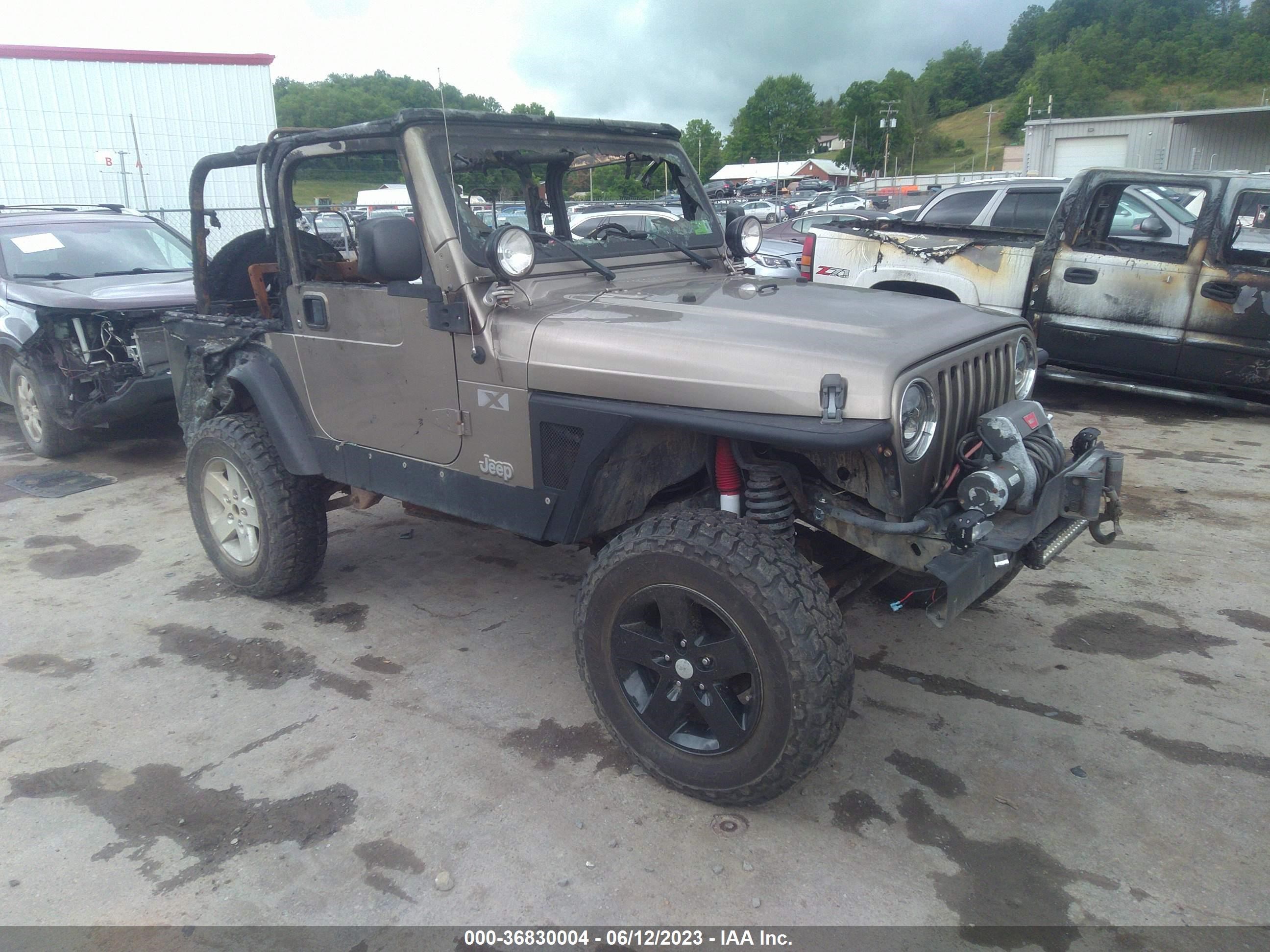 JEEP WRANGLER 2006 1j4fa39s66p777645