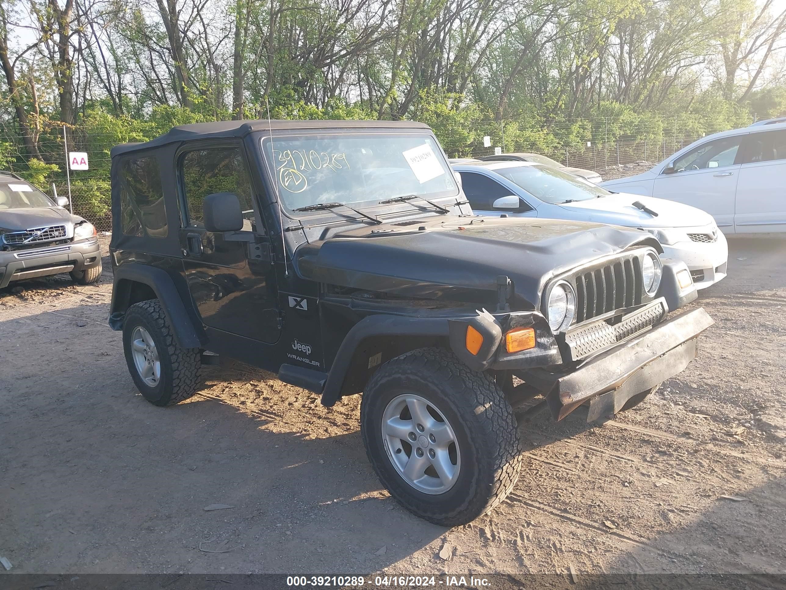 JEEP WRANGLER 2003 1j4fa39s73p351541