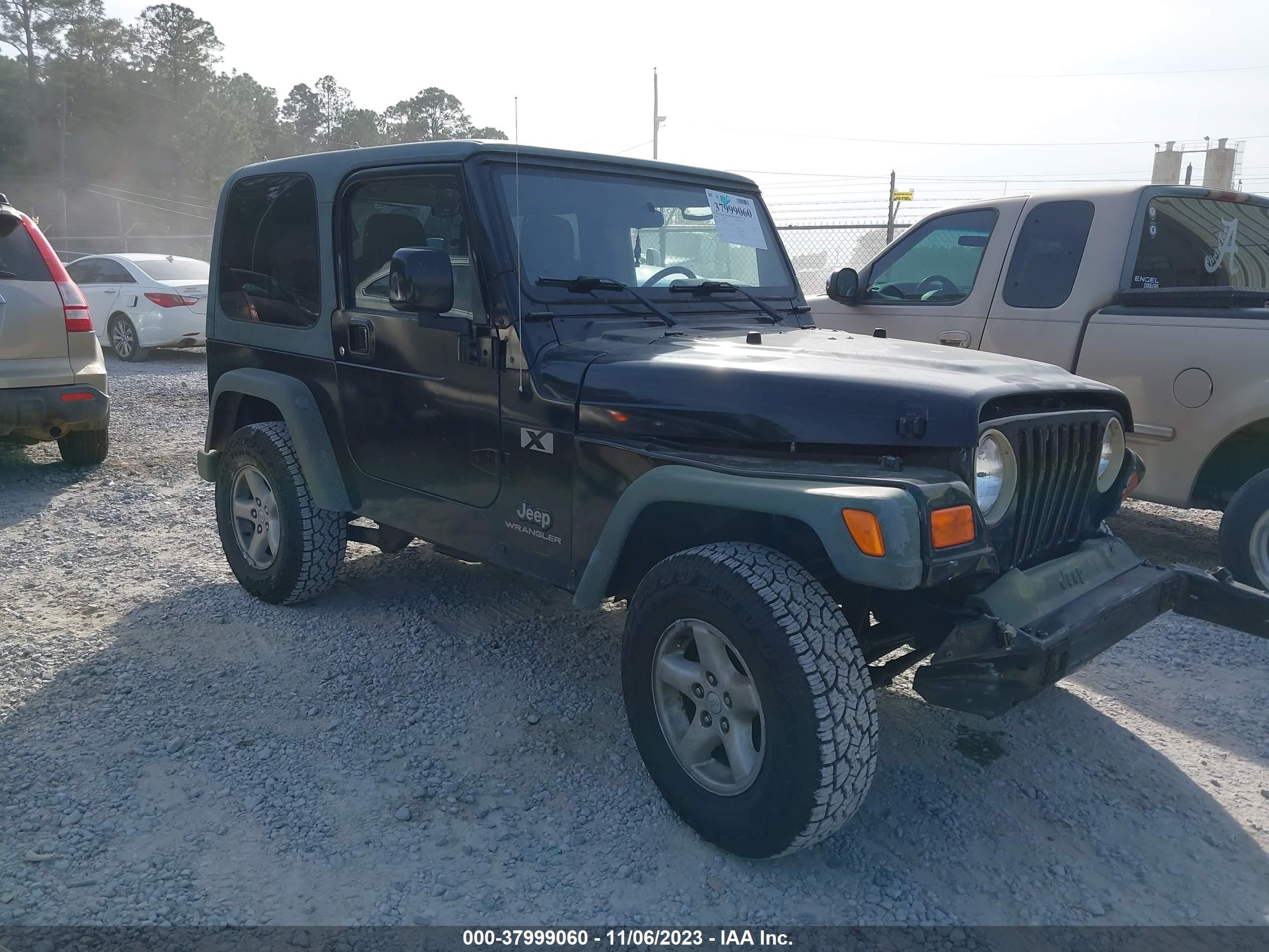 JEEP WRANGLER 2003 1j4fa39s93p325734