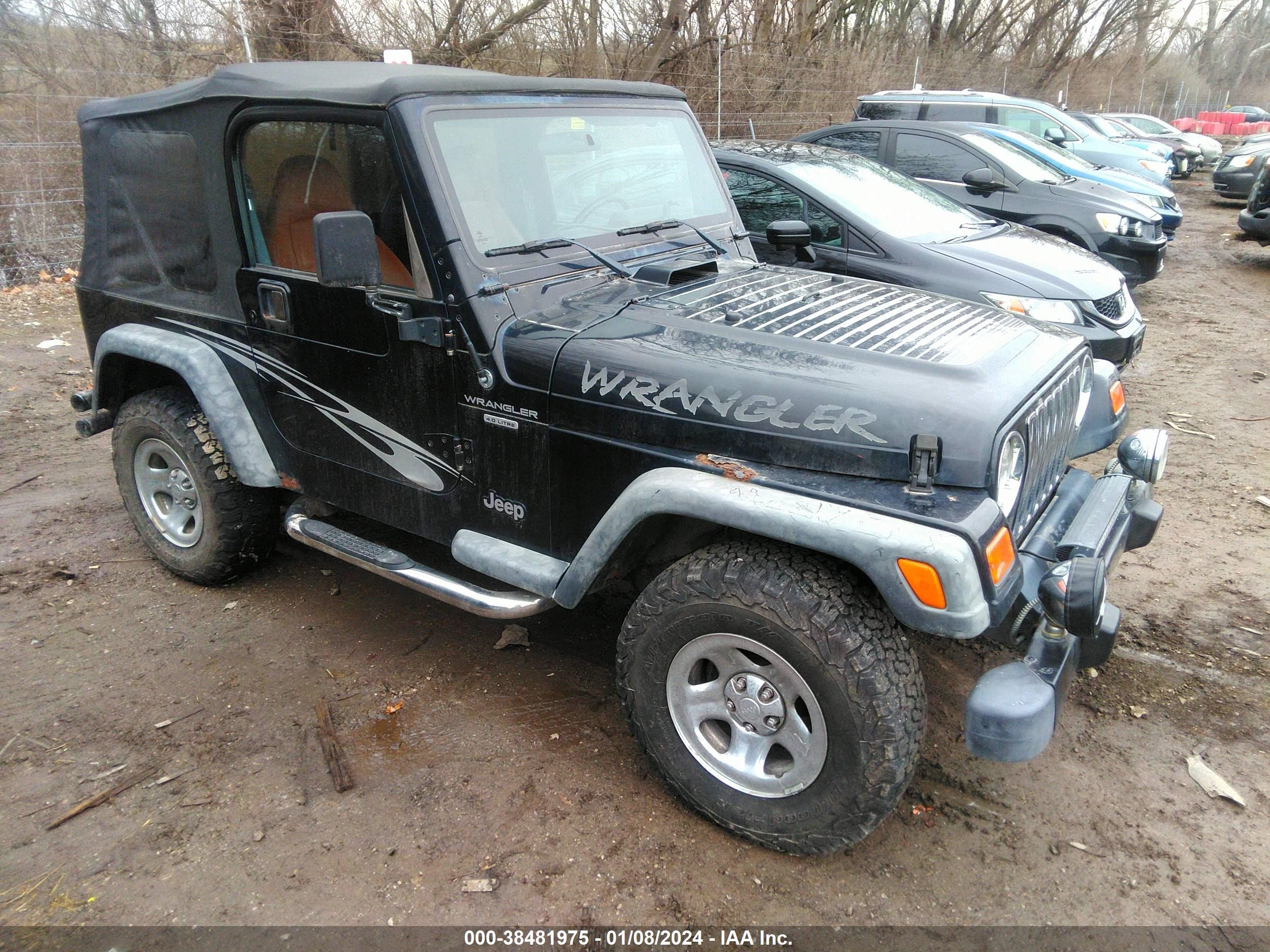 JEEP WRANGLER 2002 1j4fa39sx2p765685