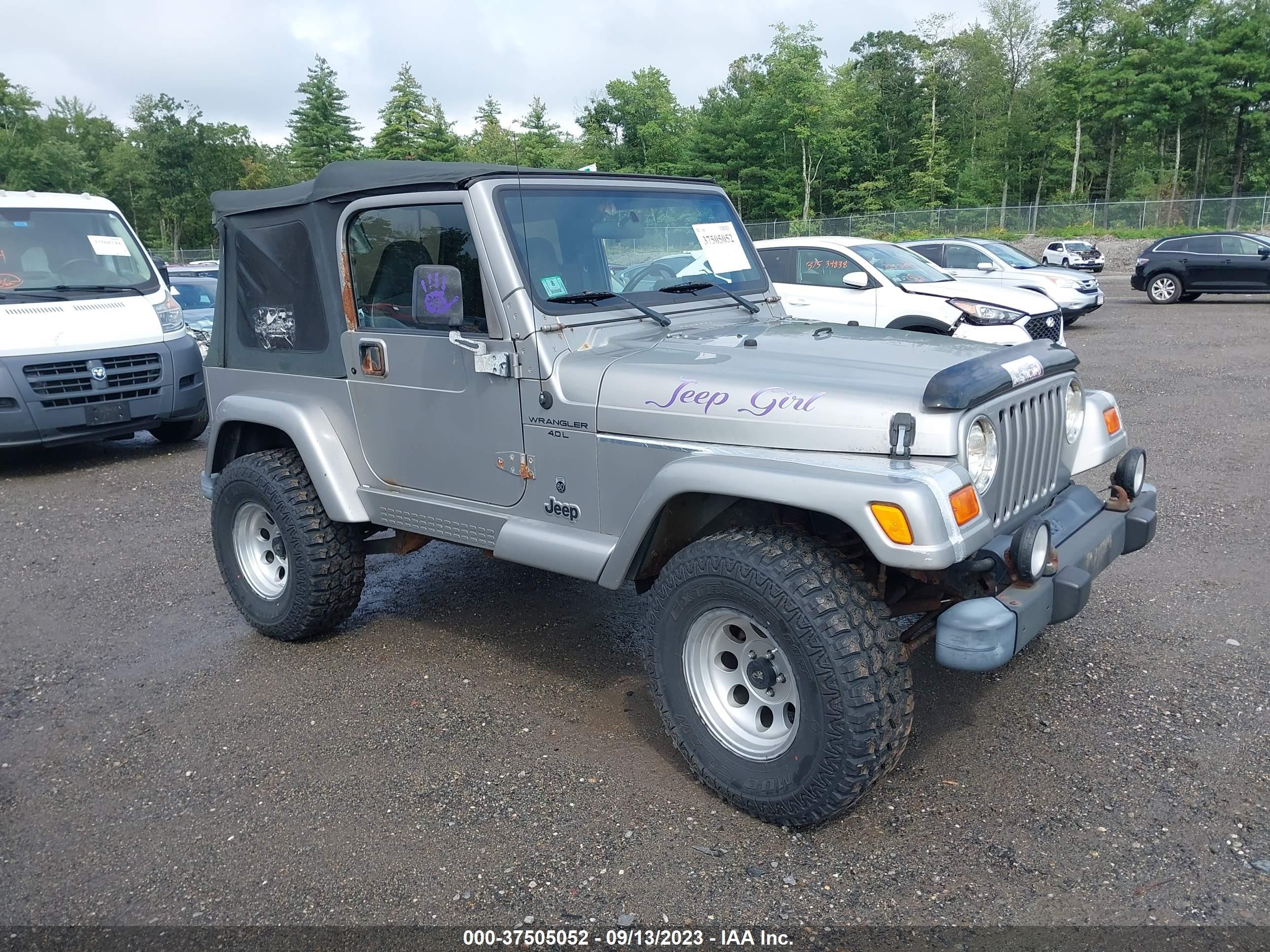 JEEP WRANGLER 2001 1j4fa49s01p345423