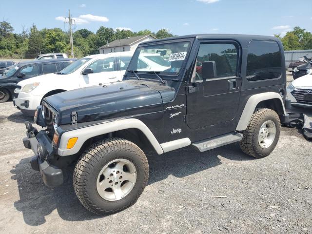 JEEP WRANGLER  2002 1j4fa49s02p700723