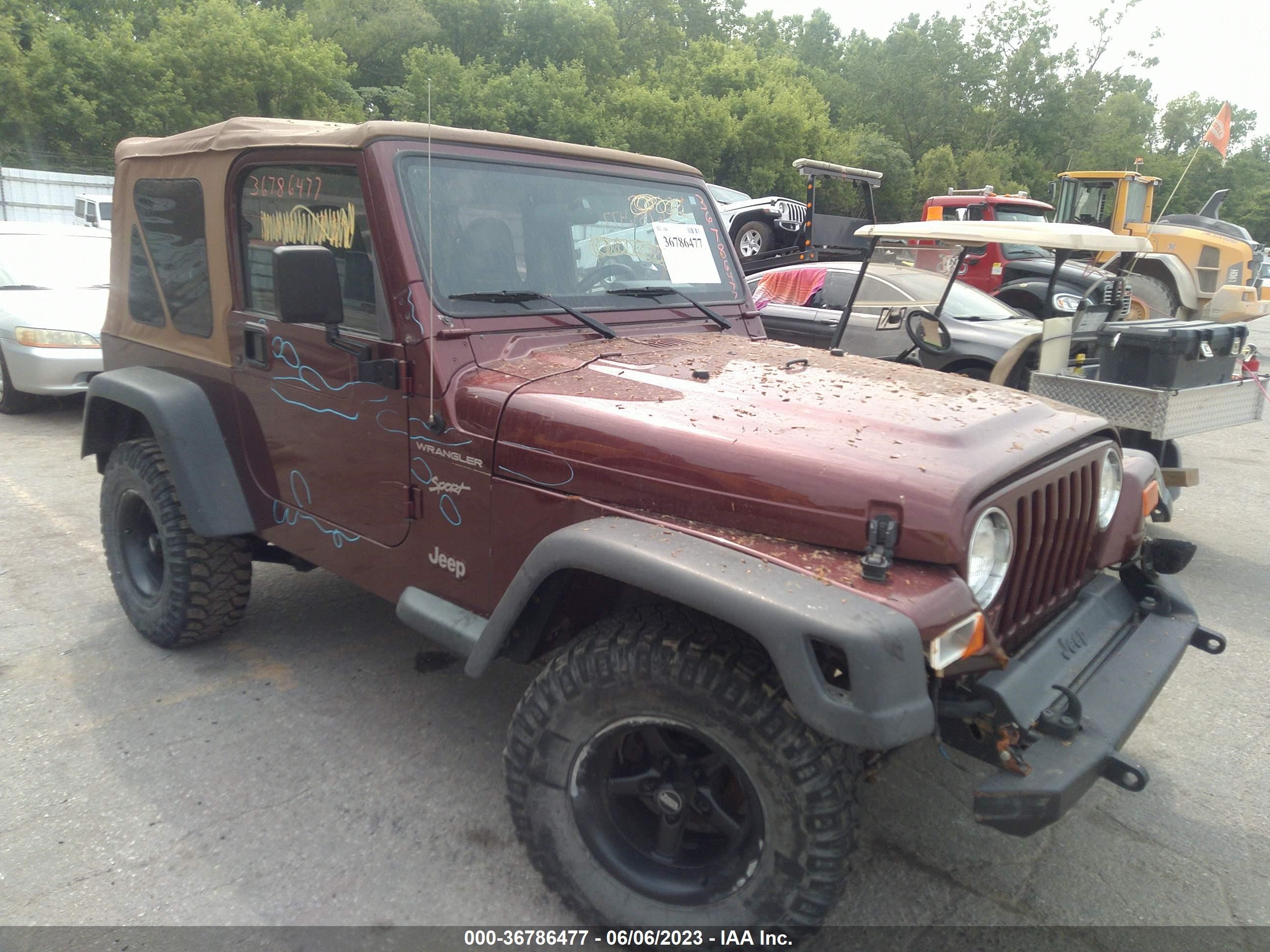 JEEP WRANGLER 2002 1j4fa49s12p756542