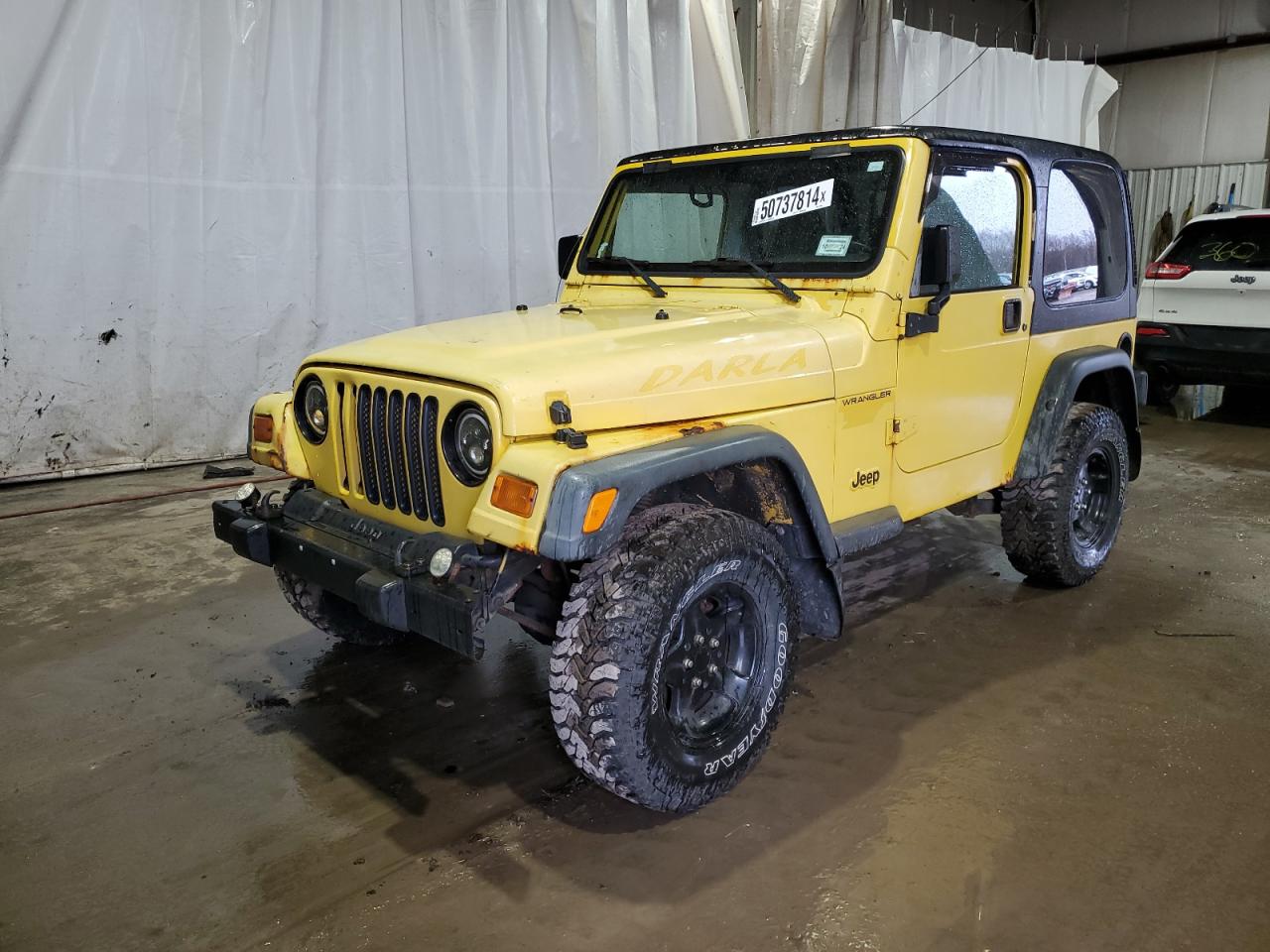 JEEP WRANGLER 2002 1j4fa49s22p703705