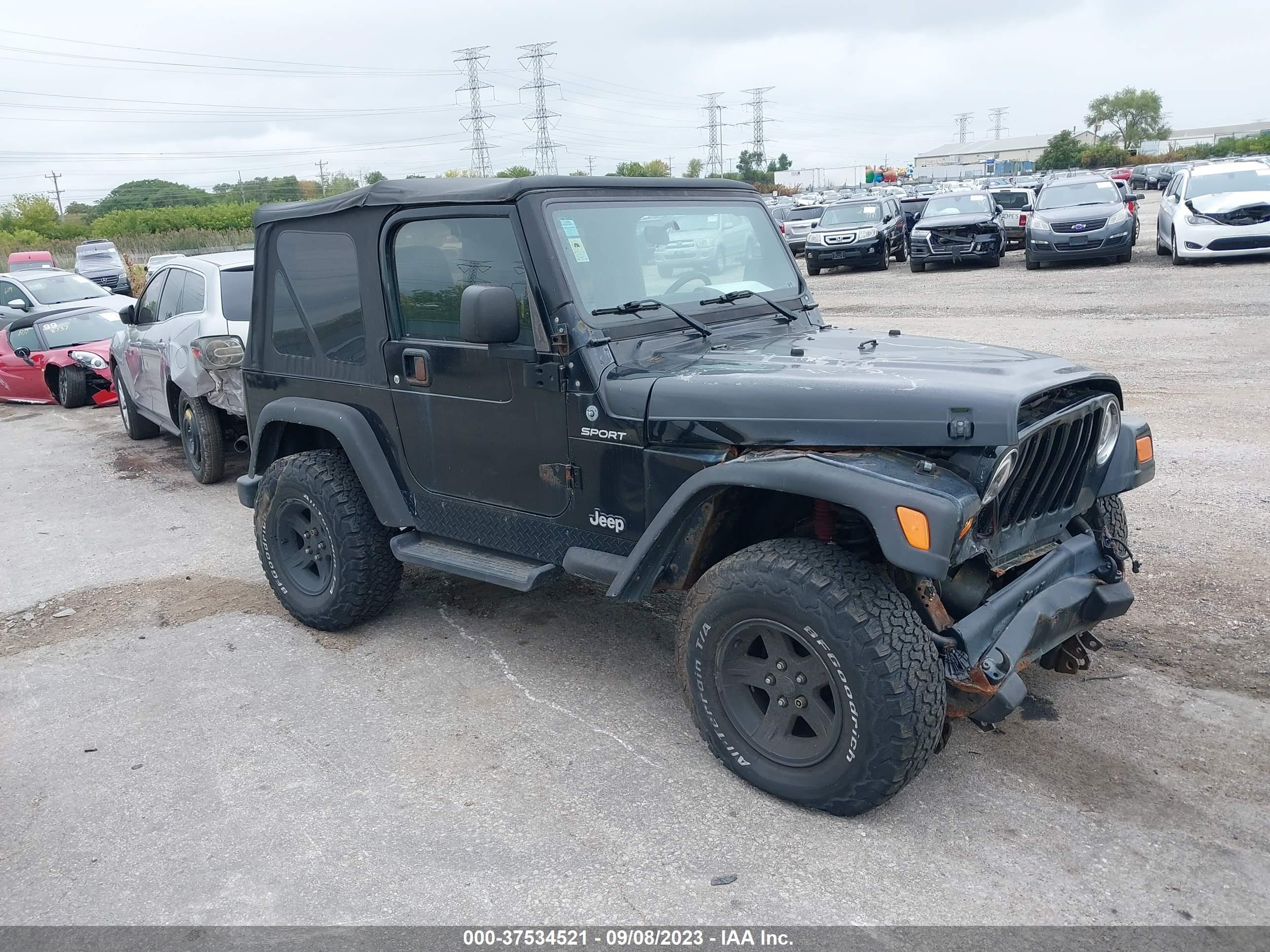 JEEP WRANGLER 2003 1j4fa49s23p302057