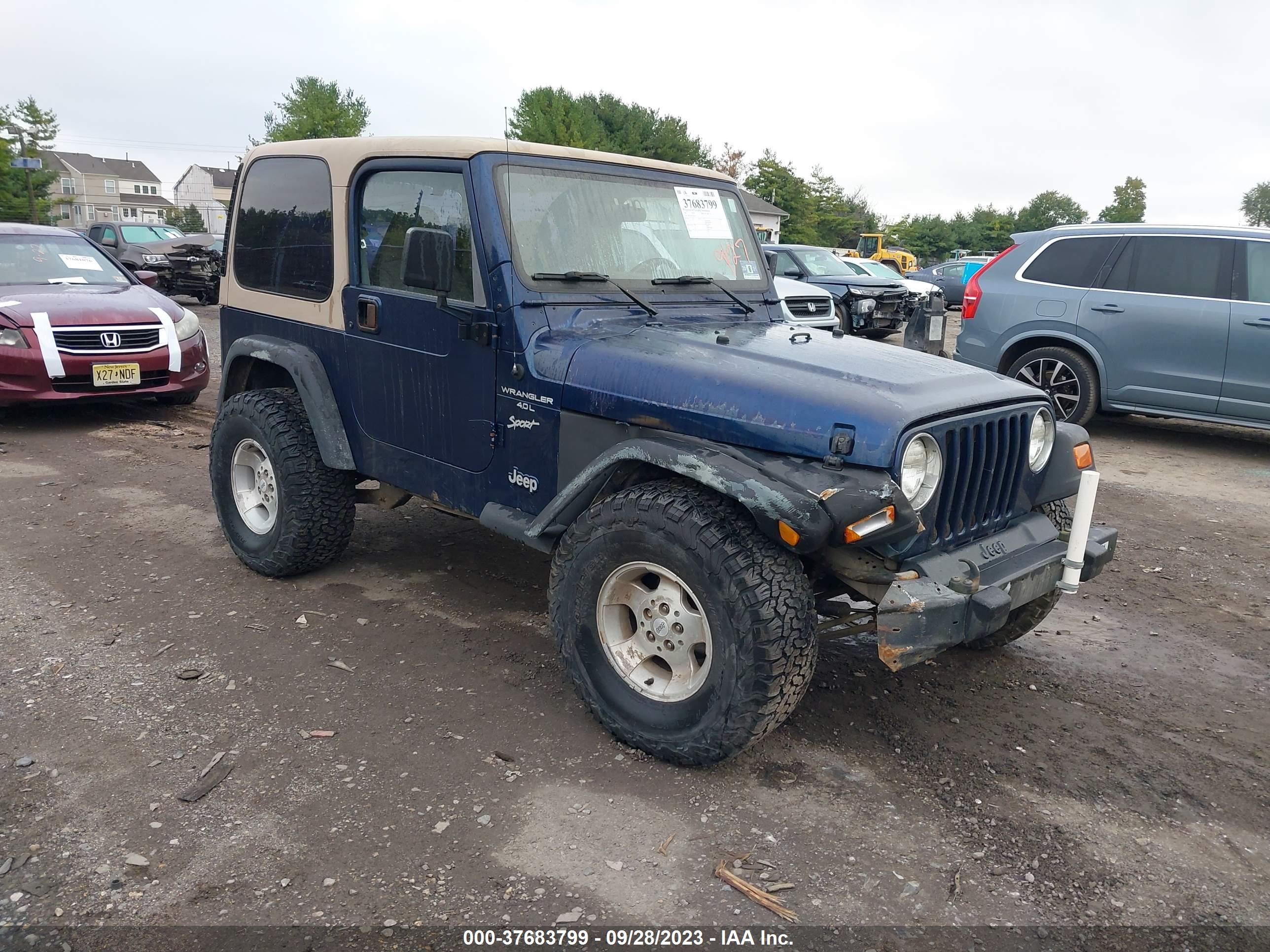 JEEP WRANGLER 2001 1j4fa49s31p309175