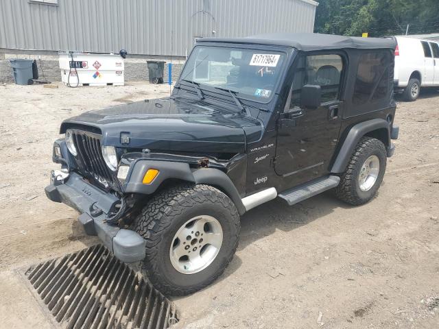 JEEP WRANGLER 2002 1j4fa49s32p704961