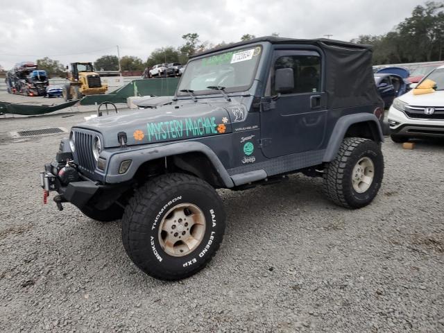 JEEP WRANGLER 2002 1j4fa49s32p722859