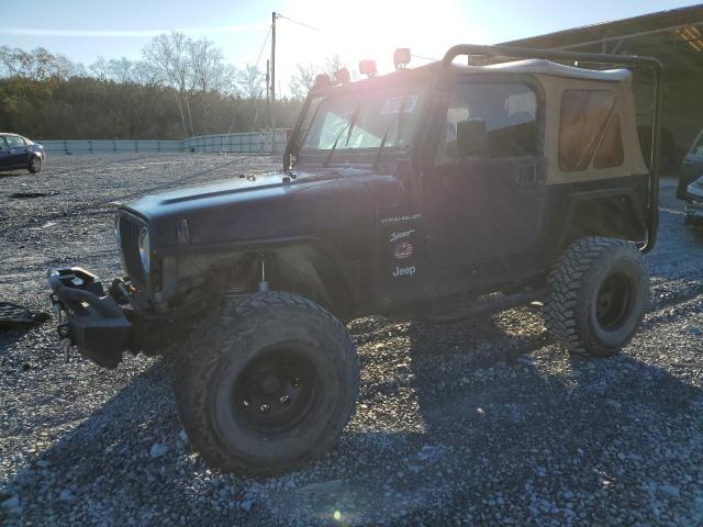 JEEP WRANGLER 2002 1j4fa49s32p728189