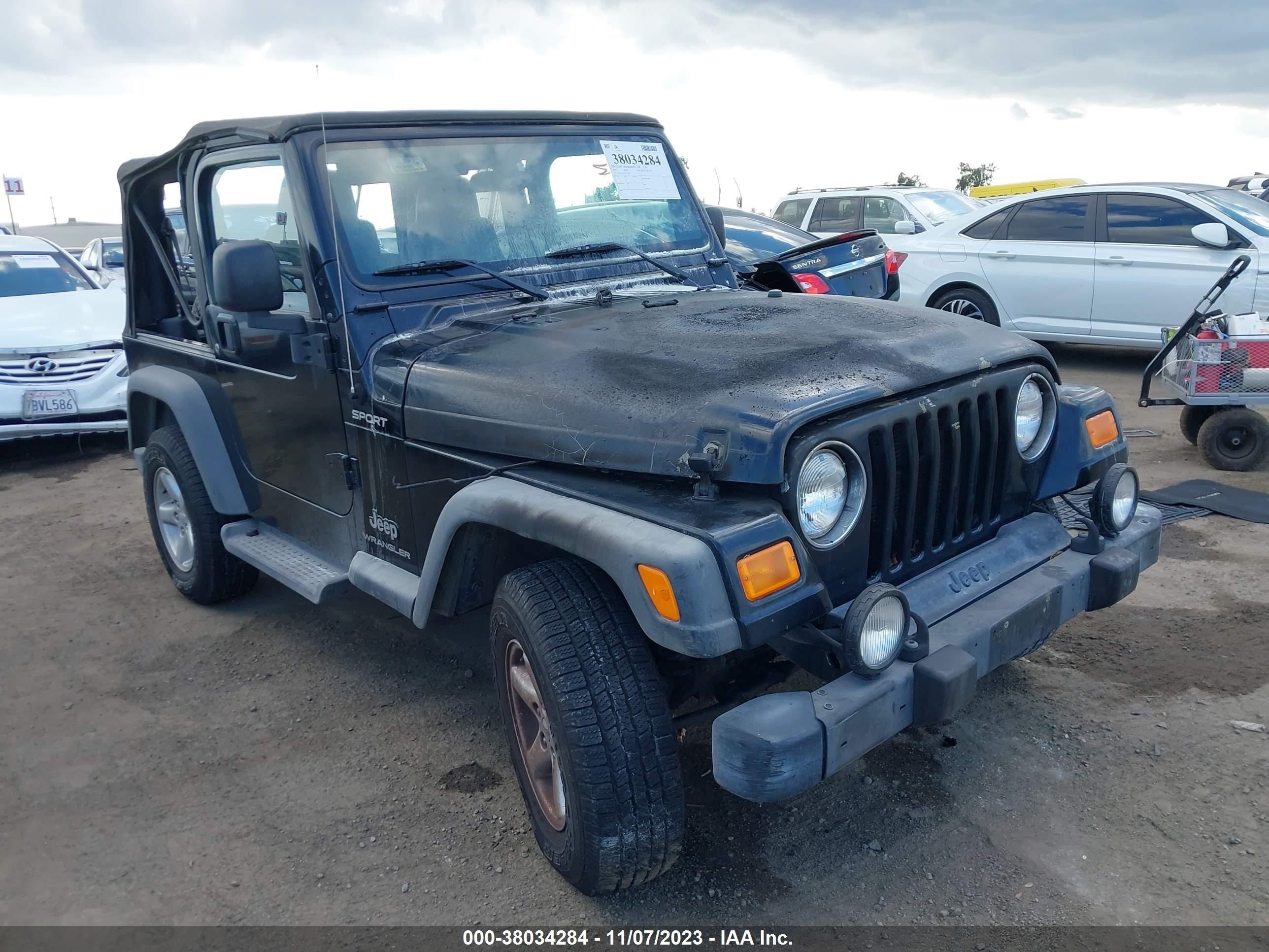 JEEP WRANGLER 2003 1j4fa49s33p374868