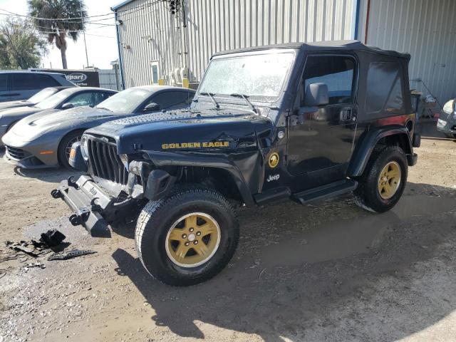 JEEP WRANGLER 2006 1j4fa49s46p733696