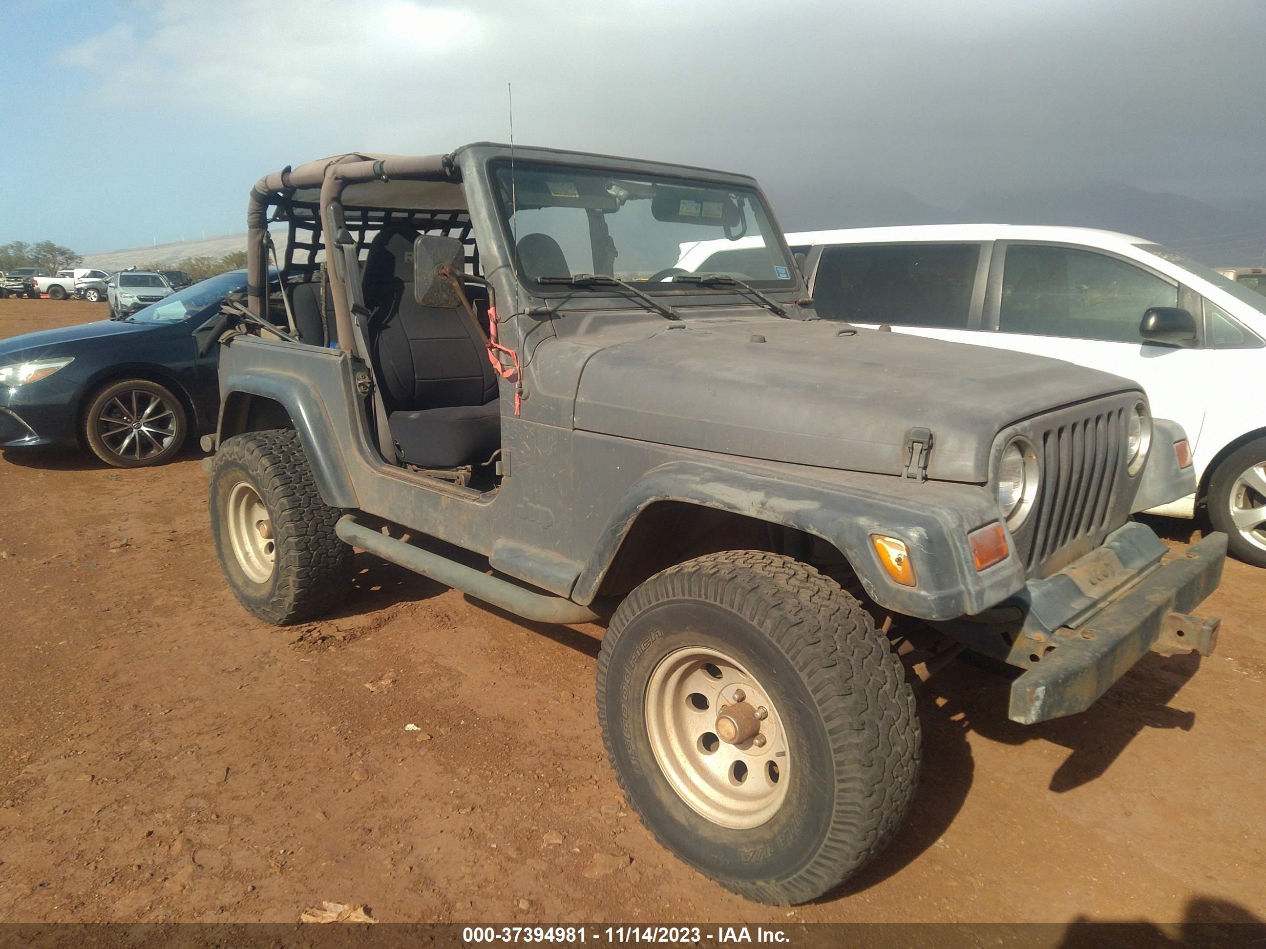 JEEP WRANGLER 2001 1j4fa49s61p317934