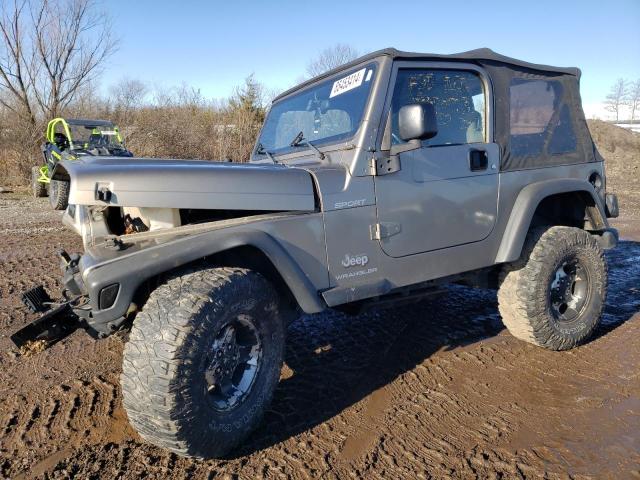 JEEP WRANGLER  2003 1j4fa49s83p323124