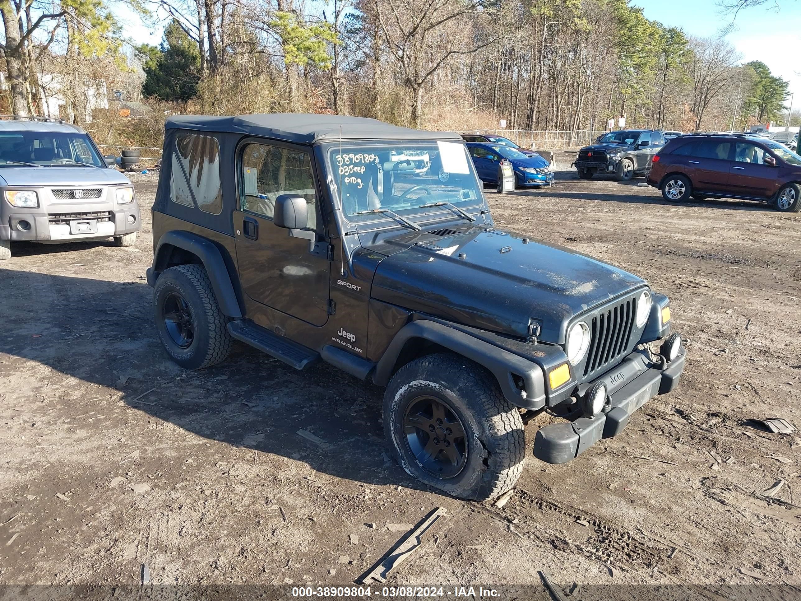 JEEP WRANGLER 2003 1j4fa49s83p346936