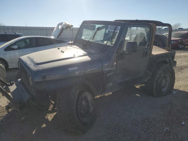 JEEP WRANGLER 2002 1j4fa49s92p703345