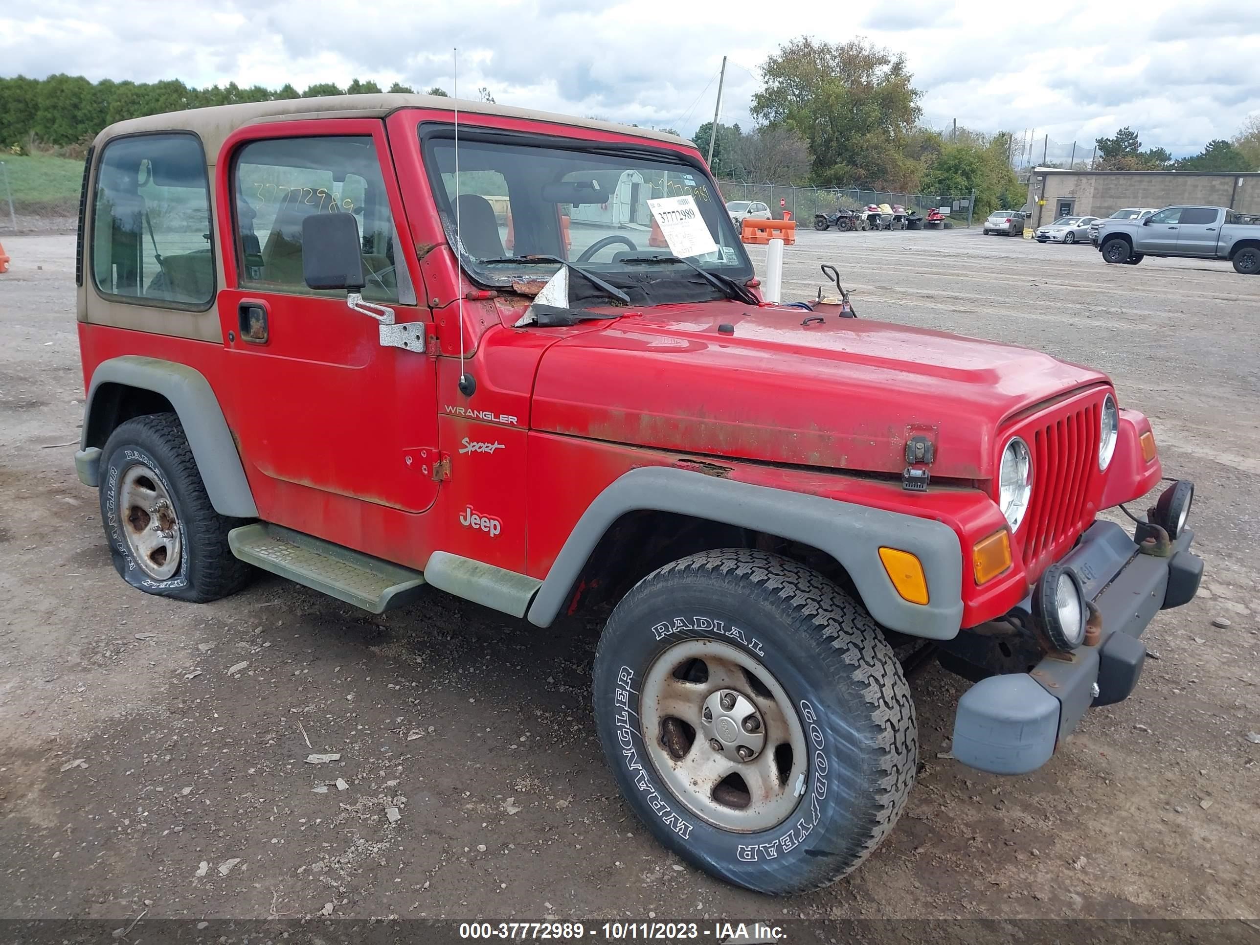 JEEP WRANGLER 2002 1j4fa49s92p772617